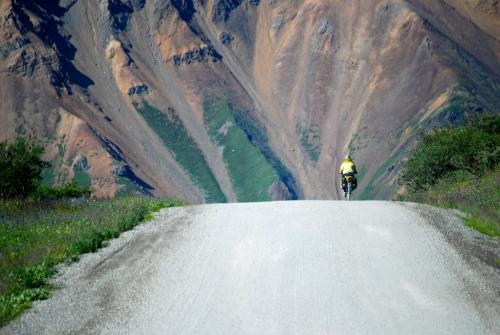 Bike rider in Denali