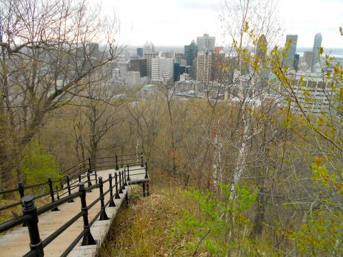 Stairs up Mount Royal