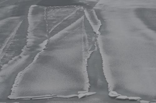 Rafting on gray ice