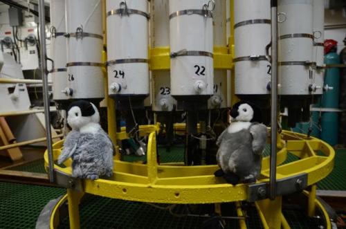 Penguins on board the Palmer