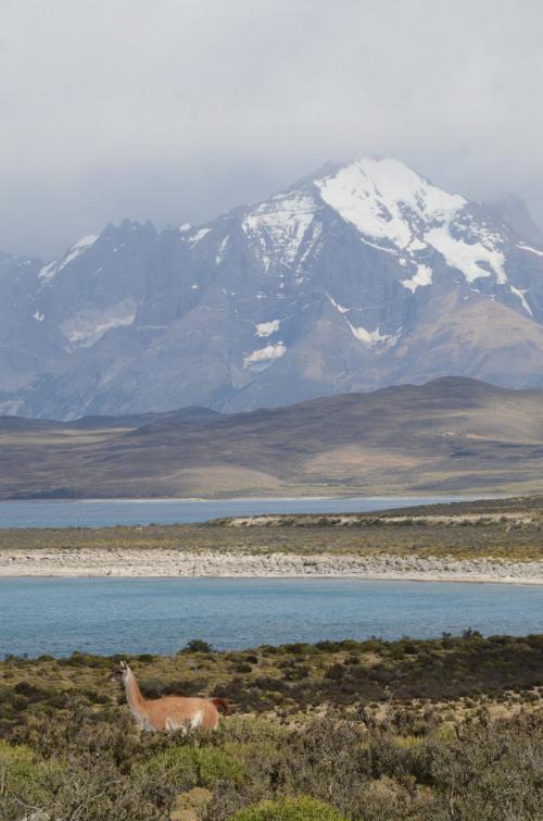 Laguna Sarmiento at Torres del Paine