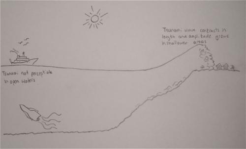 Diagram of a tsunami