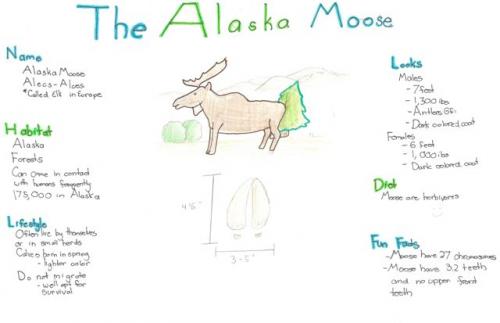 Alaska moose species journal
