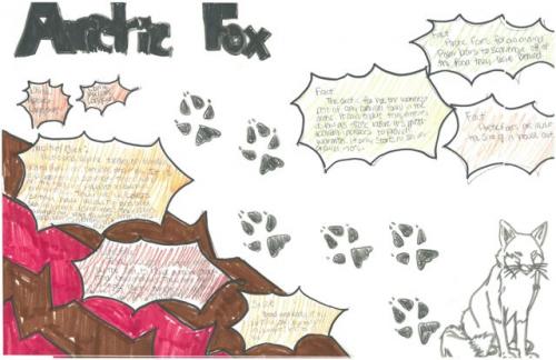 arctic fox species journal