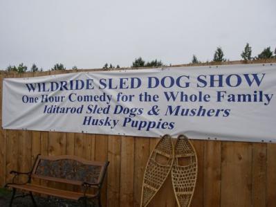 Sled dog show