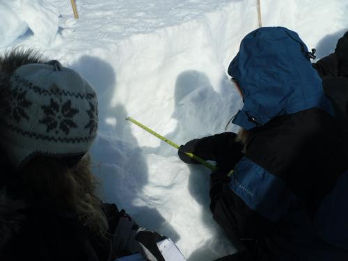 Students measuring melt layers in snow