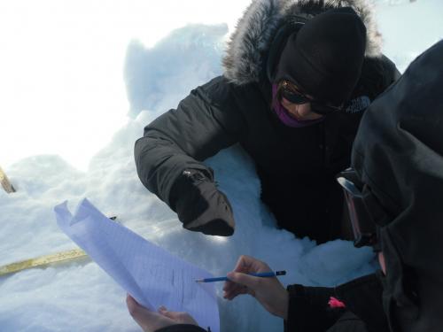 Students analyzing melt layers in snow