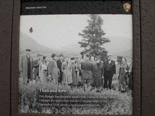 Interpretive sign comparing growth of a spruce tree near Savage River Campground