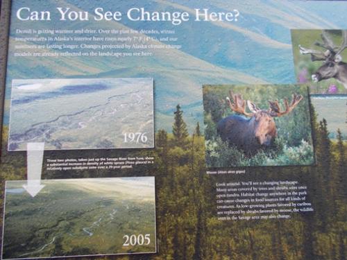 Interpretive board describing repeat photo pairs in Denali National Park