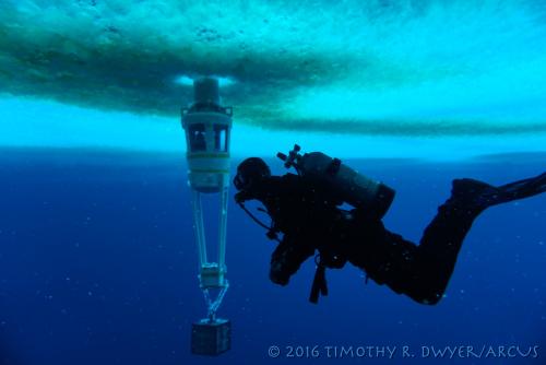 diver and observation tube