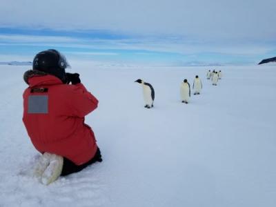 Bault taking pics of Emperor Penguins!
