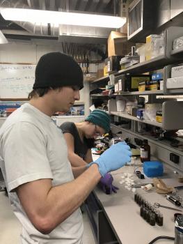 Isolating chemotypes in the lab