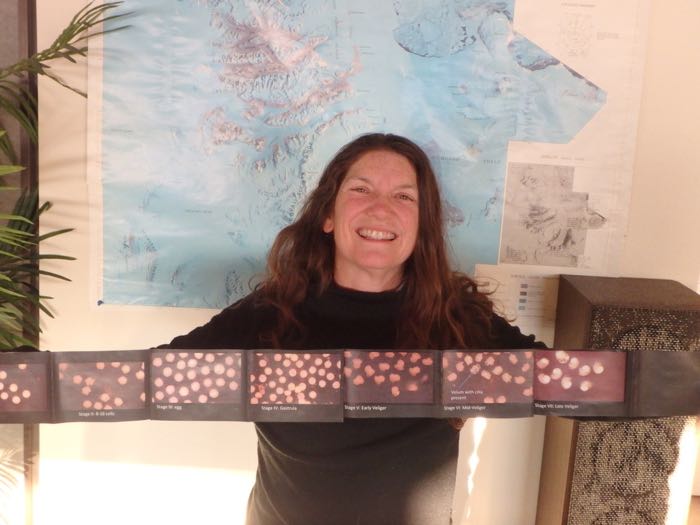 A woman displays a chart of nudibranch stages