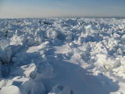 Land-fast sea ice is fastened along the shoreline in Utqiaġvik, Alaska.