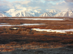 The Brooks Range near Toolik Lake, Alaska