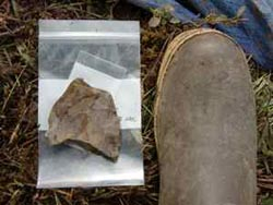A sample of chert unearthed at Raven Bluff, Alaska