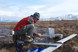 Setting up tundra experiments
