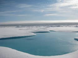 Ice on the Beaufort Sea