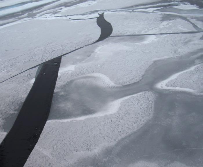 Chunks of broken sea ice with snow. As our icebreaker moves through medium thickness ice, it leaves a trail of broken sea ice like this in its wake. We are hoping to find an ice floe that won't break so easily into chunks. Photo by Sandra Thornton (PolarTREC 2016), Courtesy of ARCUS.