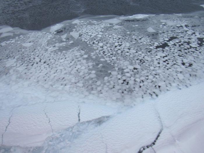Different types of young sea ice. This photo shows some young grey-white sea ice and snow in the lower portion, small pancake ice in the middle, and a bit of grease/frazil ice in the upper portion. Photo by Dave Jones (PolarTREC 2017), Courtesy of ARCUS.    