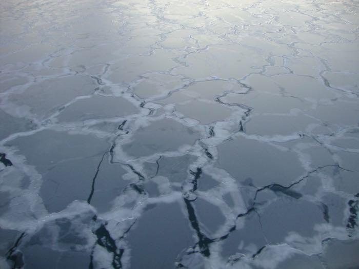 Pieces of nilas ice form in calm waters. Then they can be rafted together by wind or water currents. Photo by Chantelle Rose (PolarTREC 2011), Courtesy of ARCUS.    