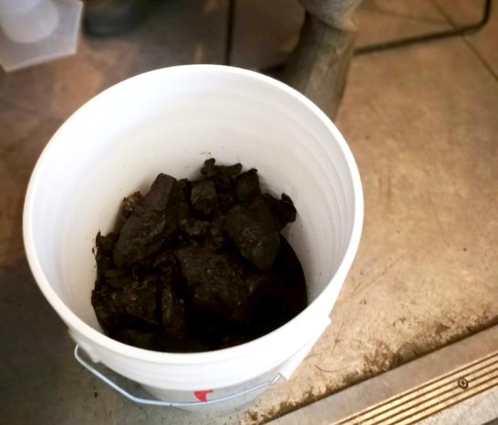 Permafrost Samples Pre-Extraction
