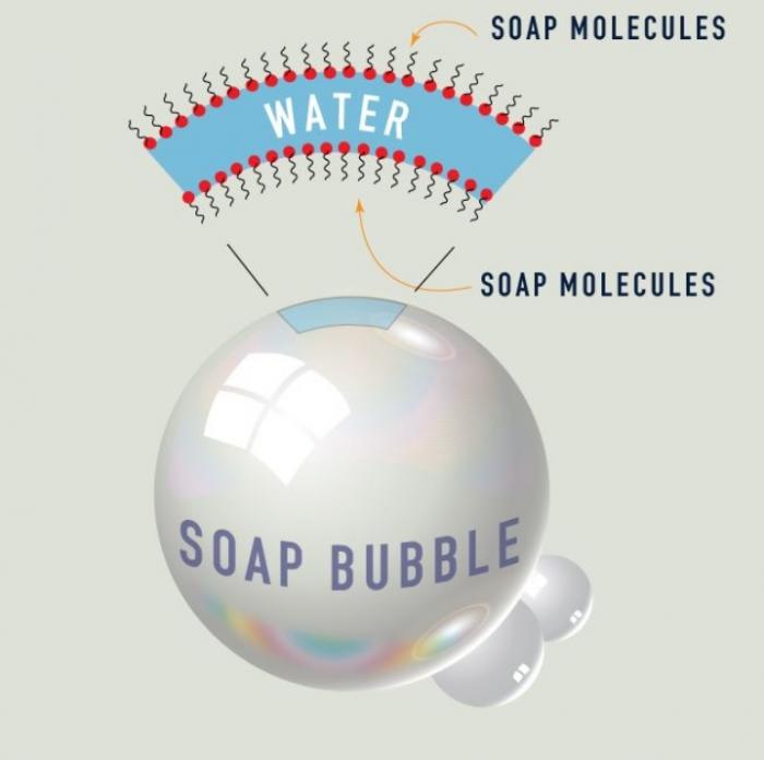 Anatomy of Soap Bubble