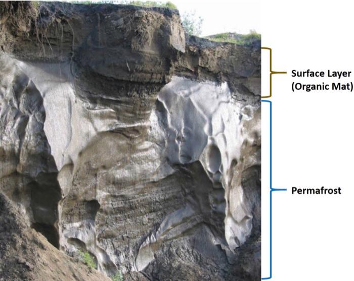 Surface Mat vs. Permafrost