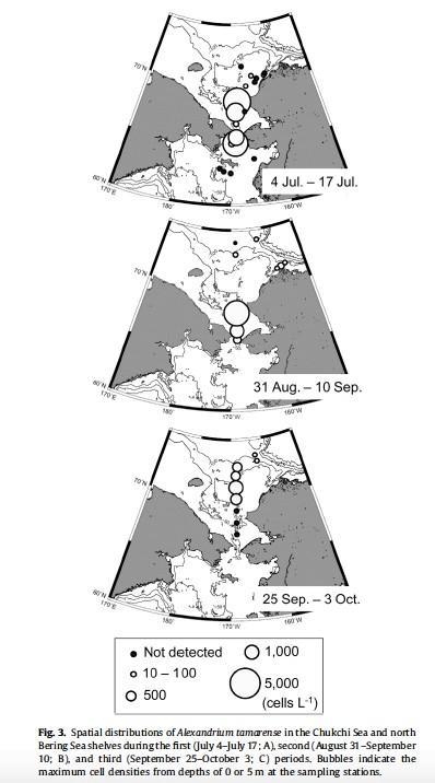 A density map of Alexandrium cysts in the Bering and Chukchi Sea. (Natsuike et al. 2017)