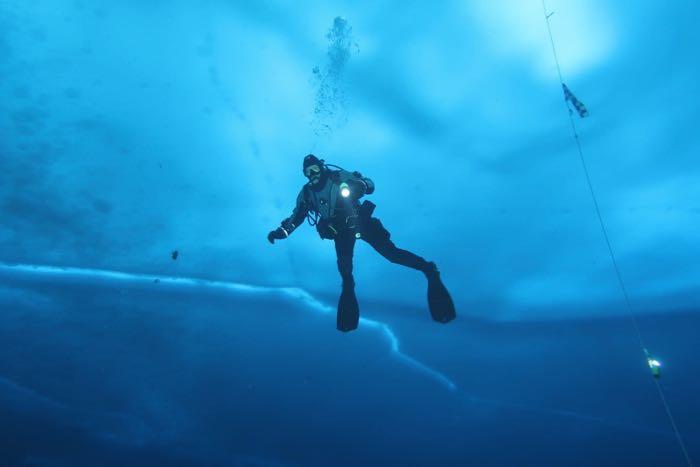 Amanda diving with cracked sea ice above