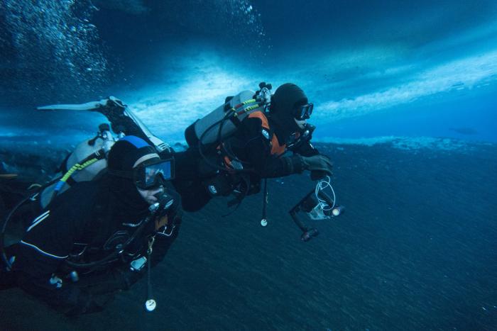 Divers under the sea ice
