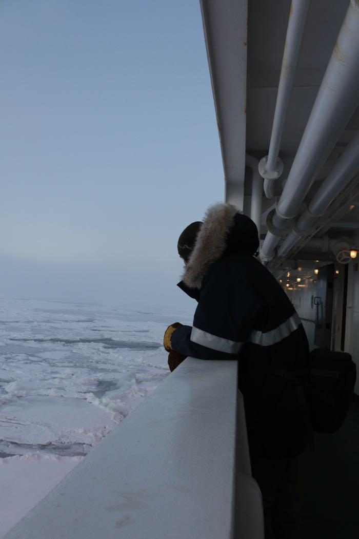 Person watching sea ice