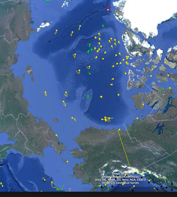 Buoy tracks from International Arctic Buoy Programme