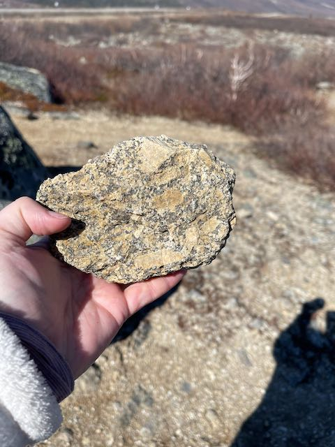 A hand holds a granite with large plagioclase phenocrysts. 