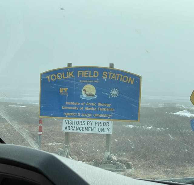 A blue sign with yellow text says &amp;quot;Toolik Field Station&amp;quot;. 