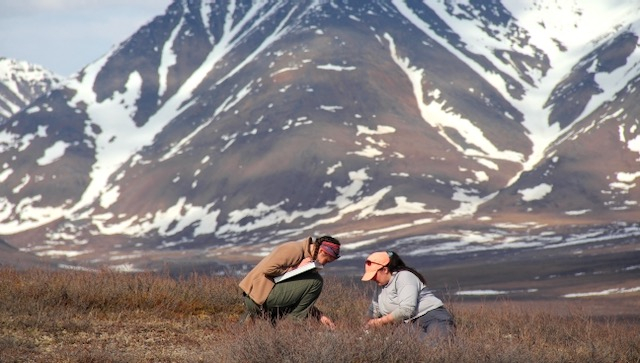 Sarah and Liza sit in a field in front of a mountain. 