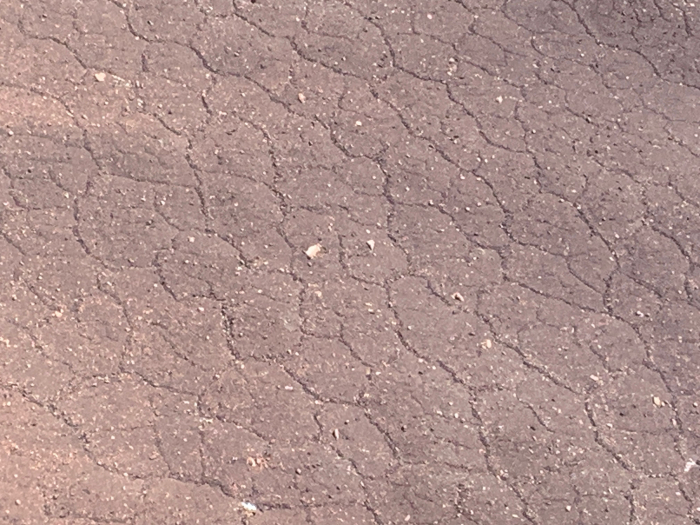 View of polygons in soil 