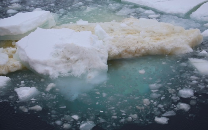 Algae causes some icebergs to appear yellowish-green