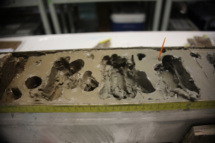 A sampled sediment core