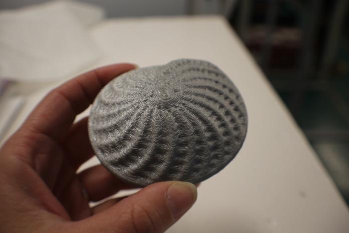A 3D printed scale model of a foram