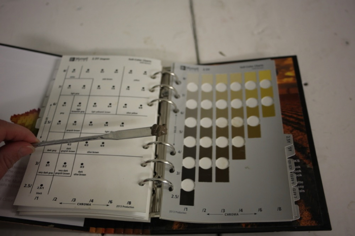 The Munsell Color Chart is used to categorize sediment samples