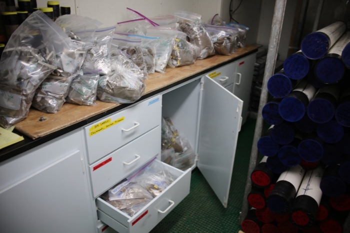 Sediment samples in storage