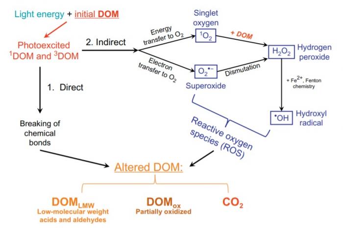 Photochemical degradation of DOC