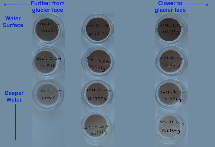Sediment samples by depth and distance