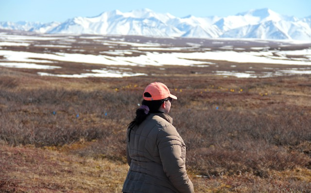 Liza stands in front of a partially snow-covered field of brush. In the background, snow covered mountains line the horizon. 