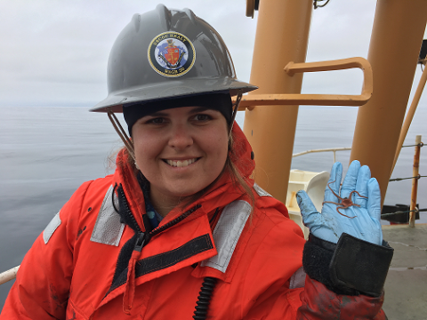 Piper Bartlett-Browne holds a brittle star from a van Veen grab.