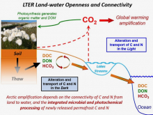 LTER Land-Water Openness and Connectivity