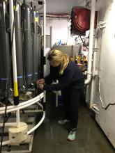 Piper Bartlett-Browne taking bottom water samples from the CTD.