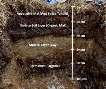 Soil pit showing different soil and permafrost layers