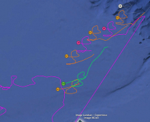 Utqiaġvik 2022 Deployment of Arctic buoy data pulled on April 14, 2022 on Google Earth